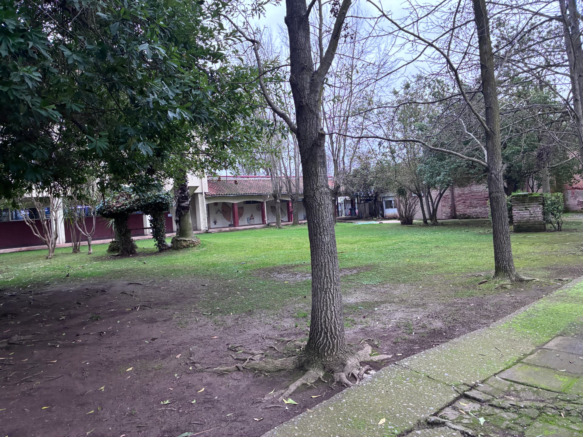 El parque del hospital, corazón verde del recinto.